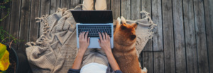Expertenwissen rund um den Hund, der Blog für alle Hundehalter