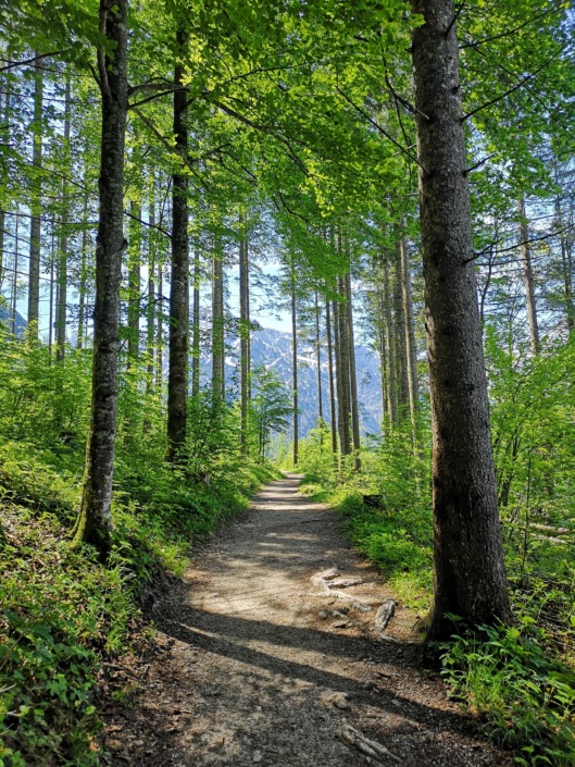 Brut- und Setzzeit 2025 in Bayern: Wichtige Informationen